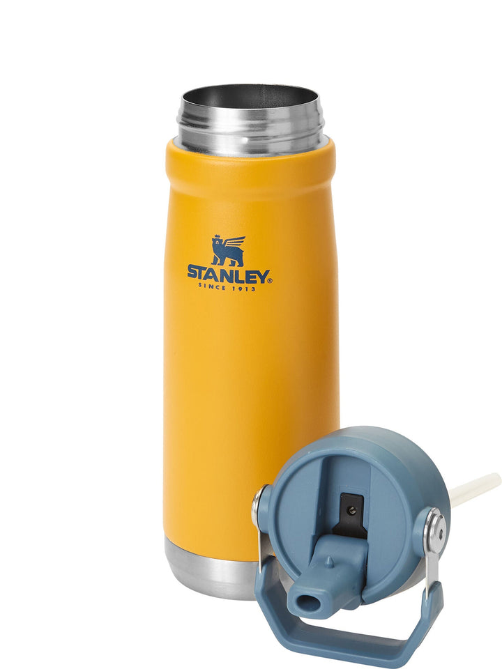 Stanley Inox Thermal Bottle 651ml Flip Straw Water Bottle waodeals