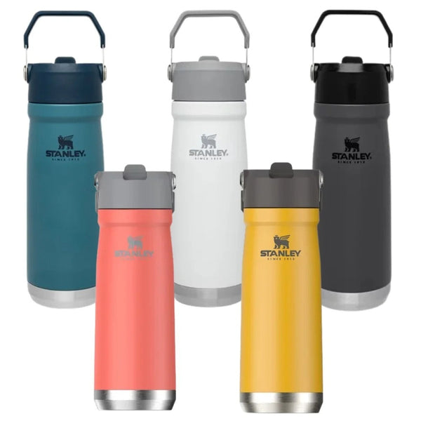 Stanley Inox Thermal Bottle 651ml Flip Straw Water Bottle waodeals