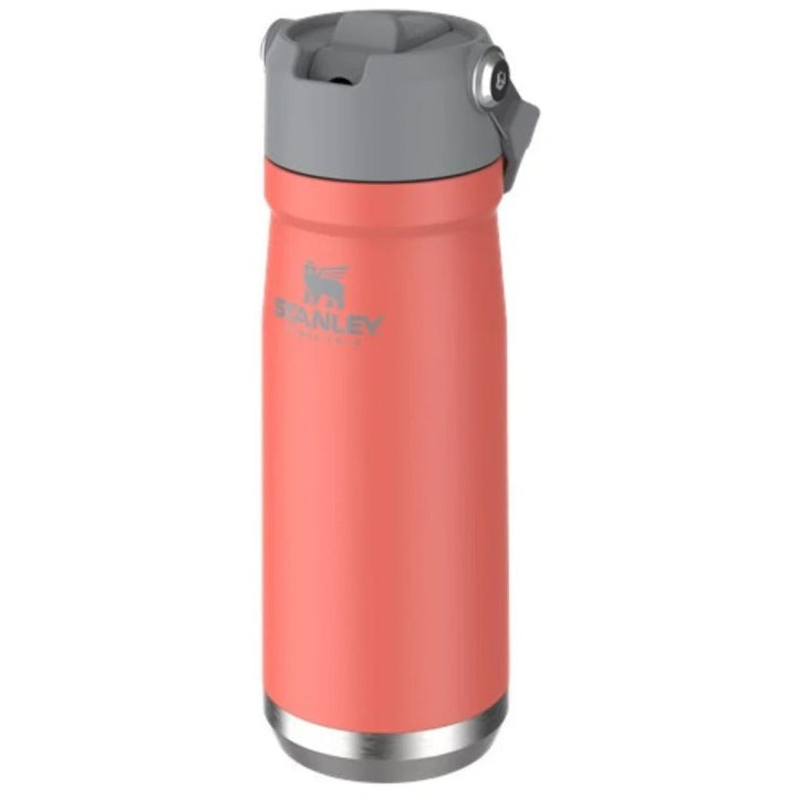 Stanley Inox Thermal Bottle 651ml Flip Straw Water Bottle waodeals