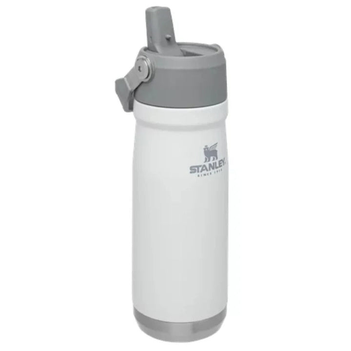 Stanley Inox Thermal Bottle 651ml Flip Straw Water Bottle waodeals