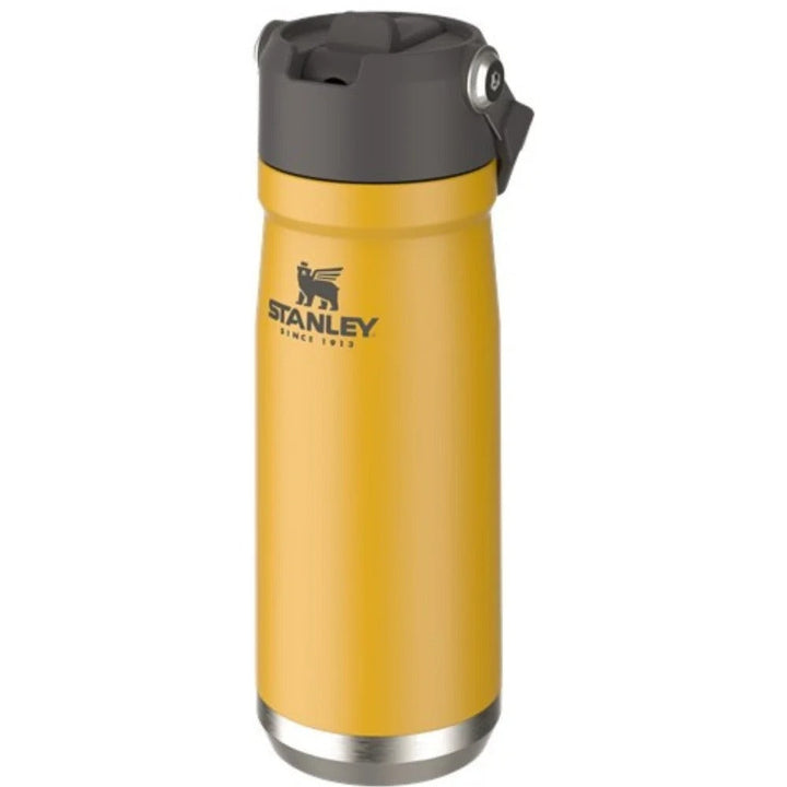 Stanley Inox Thermal Bottle 651ml Flip Straw Water Bottle waodeals