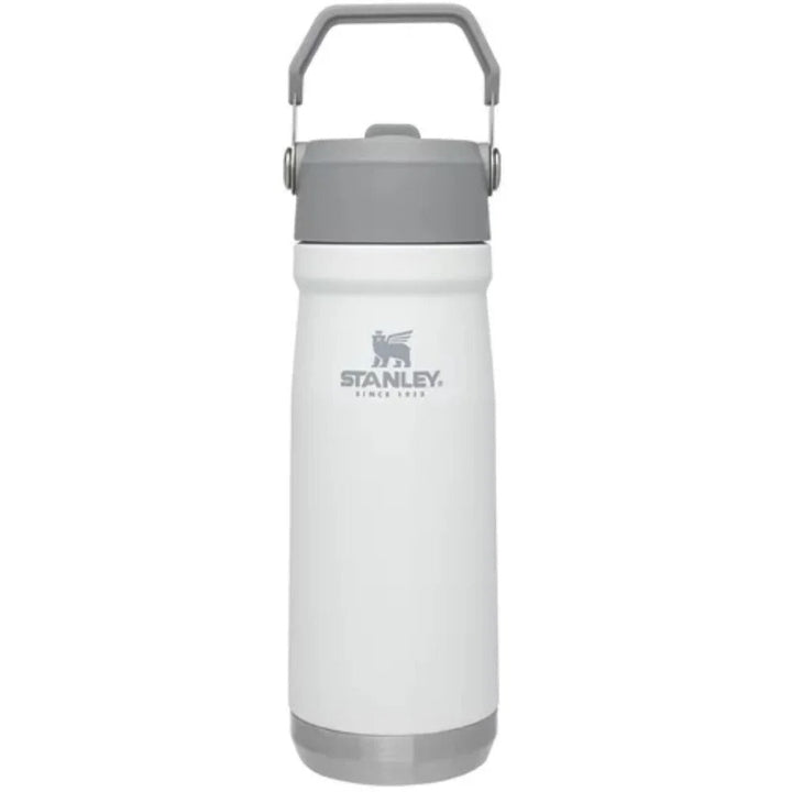 Stanley Inox Thermal Bottle 651ml Flip Straw Water Bottle waodeals